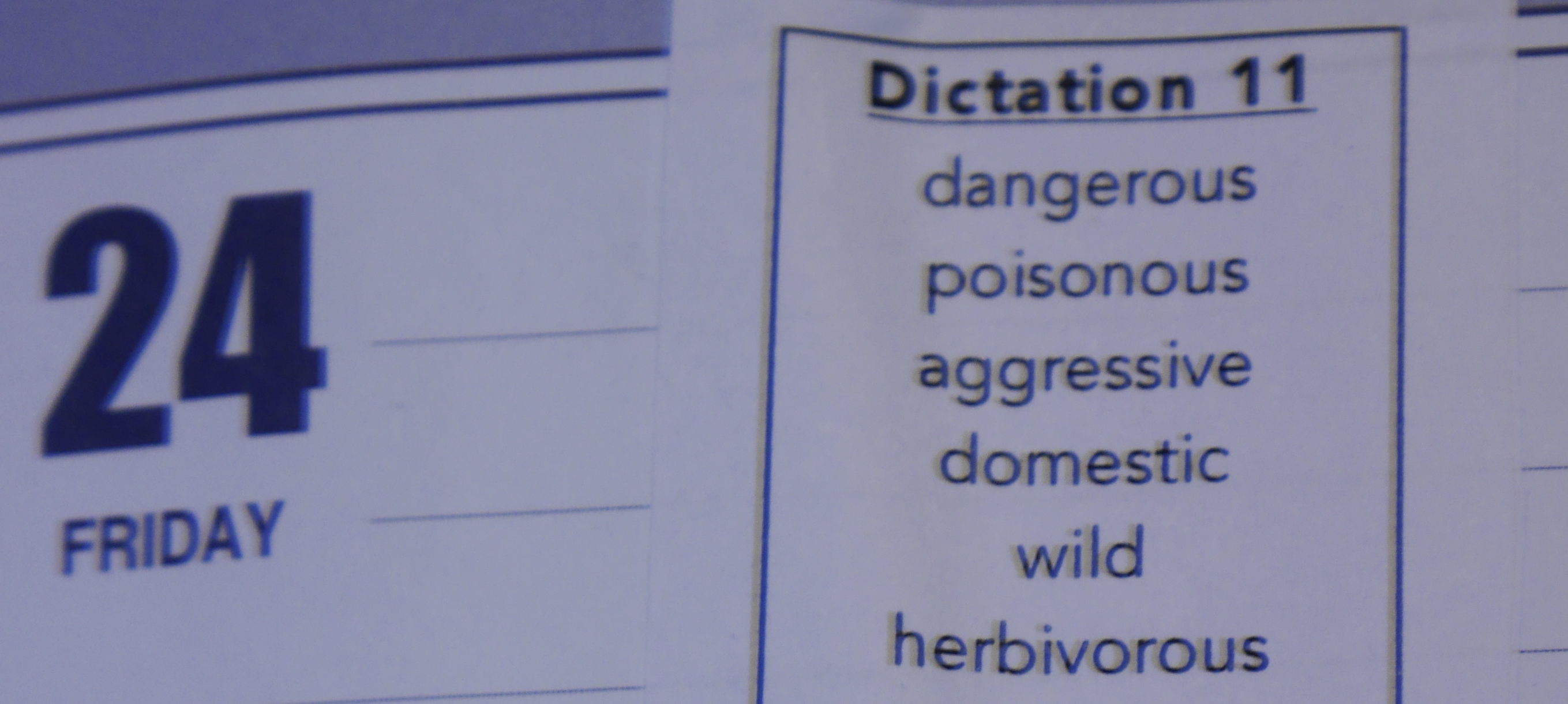 More Easy 2d Grade Words!