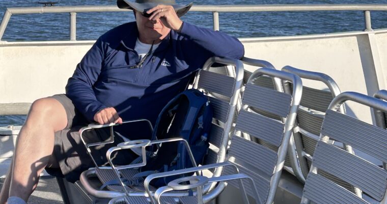 Tiburon: Be Flexible & Select Your View